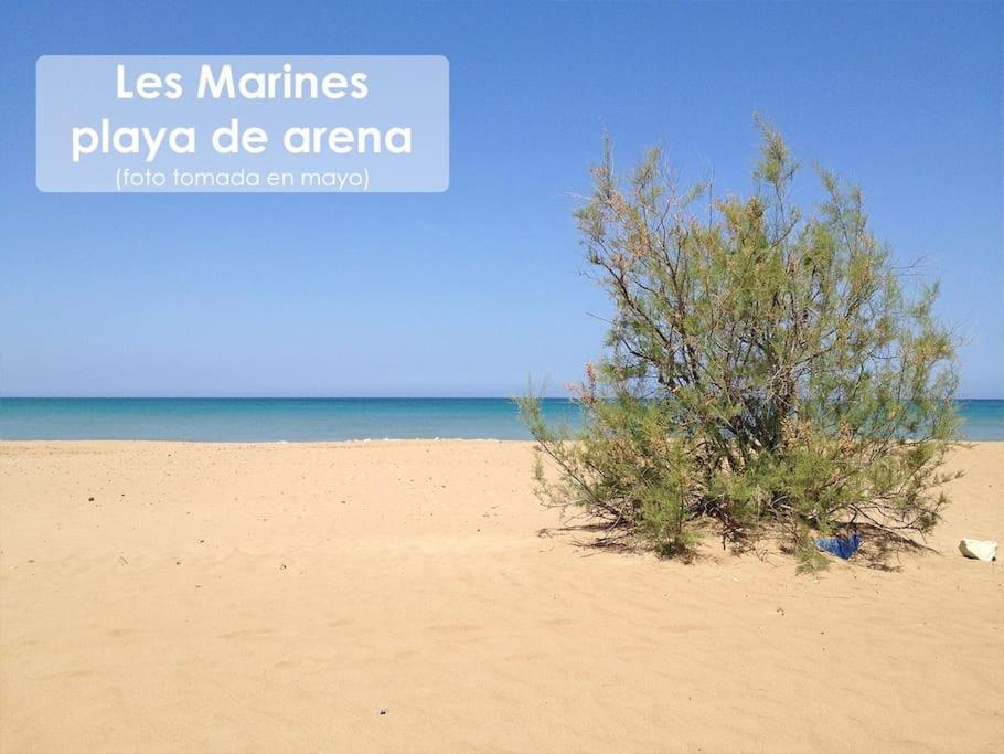 Piso Bajo 3 Habitaciones 2 Banos Y Gran Terraza Denia Kültér fotó